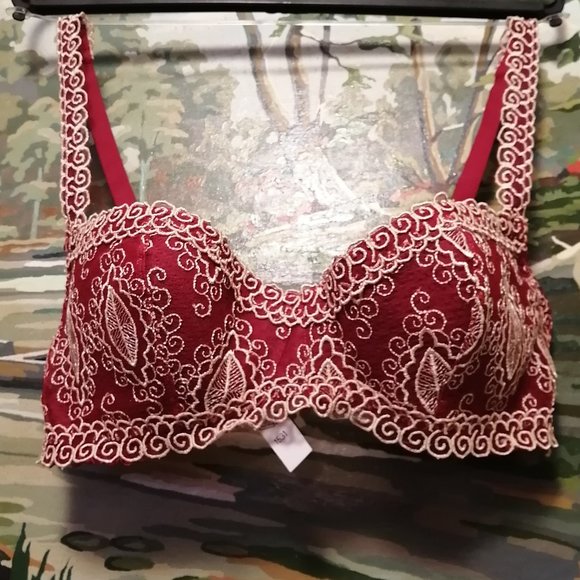 Lejaby embroidered bra Never been used - Picture 6 of 6